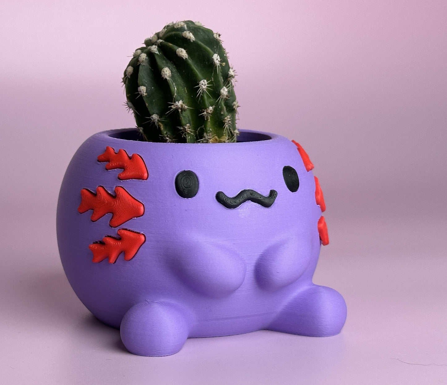 Axolotl Succulent Planter Pot – Eco-Friendly PLA Plant Pot for Desk & Home Decor UK