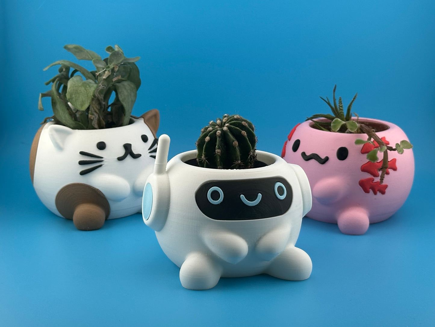 Axolotl Succulent Planter Pot – Eco-Friendly PLA Plant Pot for Desk & Home Decor UK
