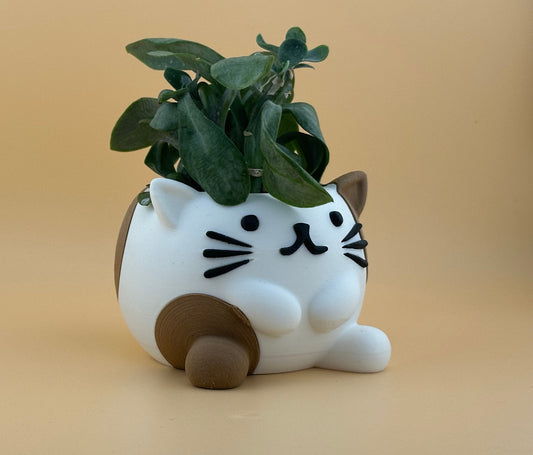 Cat Succulent Planter Pot – Cute Eco-Friendly PLA Indoor Plant Pot for Home & Desk UK